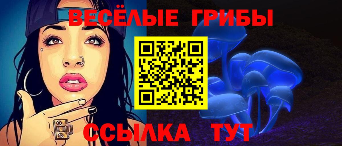 Псилоцибиновые грибы Psilocybine cubensis Заинск